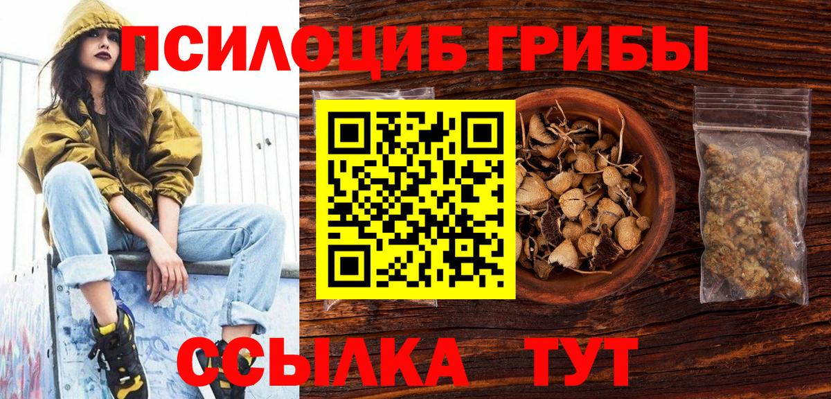 Псилоцибиновые грибы мухоморы  Вход с VPN  Зеленогорск  Псилоцибиновые грибы Magic Shrooms 